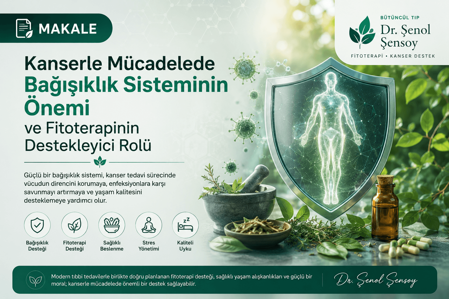 Kanserle Mücadelede Bağışıklık Sisteminin Önemi ve Fitoterapinin Destekleyici Rolü